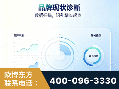 固原-品牌现状诊断