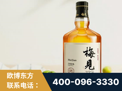 固原-梅见青梅酒